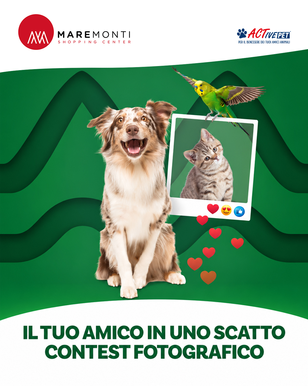 Musin Musetti - Centro Commerciale MareMonti
